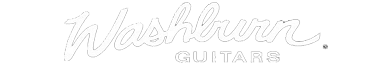 Washburn Guitars Logo Washburn Guitars Logo