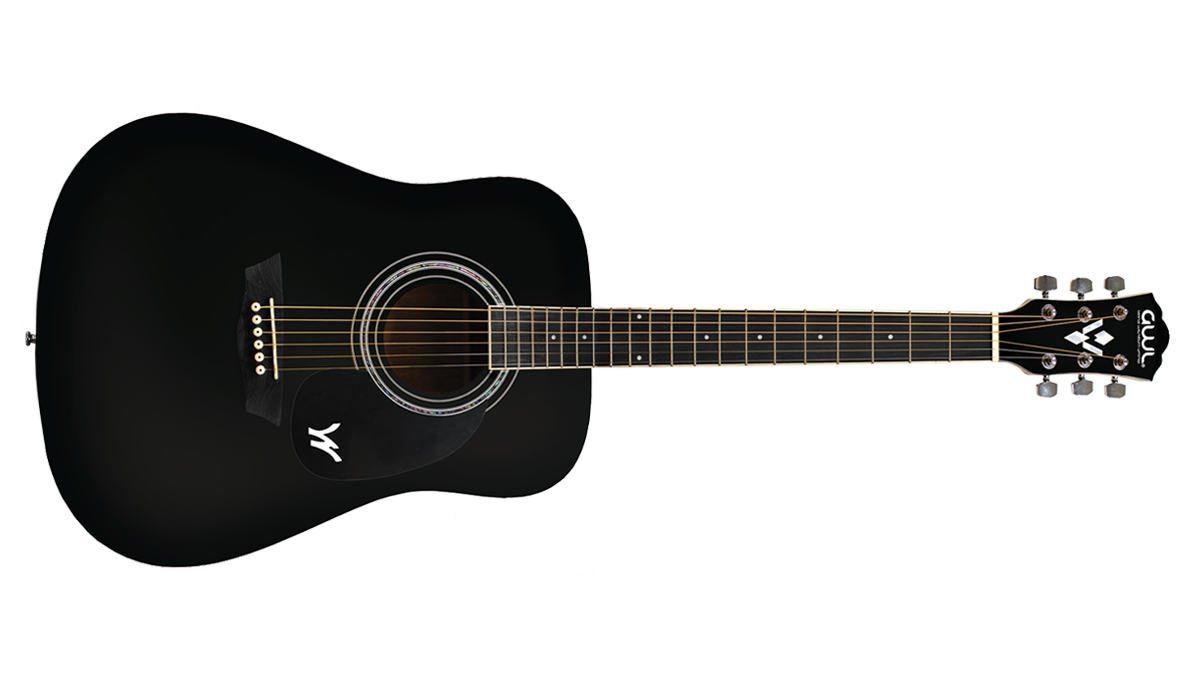 GWL Acoustic Guitar Front